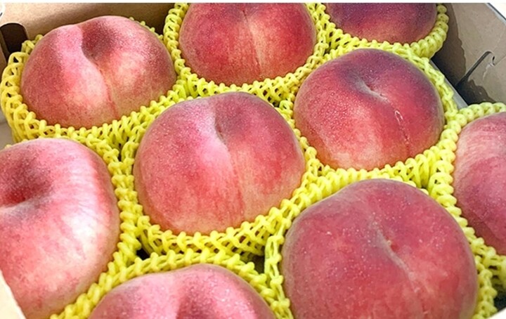 참조은 THE달콤 딱딱이 털복숭아 [4.5kg] 최저가 검색 - 에누리가격비교 참조은 THE달콤 딱딱이 털복숭아 [4.5kg] < 과일 < 농산물 [에누리... 