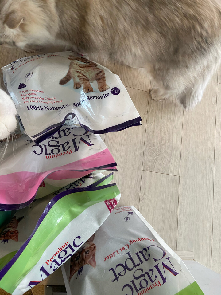 magic carpet cat litter