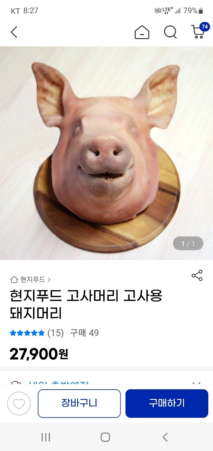 현지푸드 고사머리 고사용 돼지머리