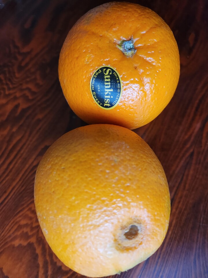 마트에서 판매하는 오렌지보다 크기...