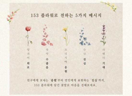 제휴상품평 포토리뷰 이미지