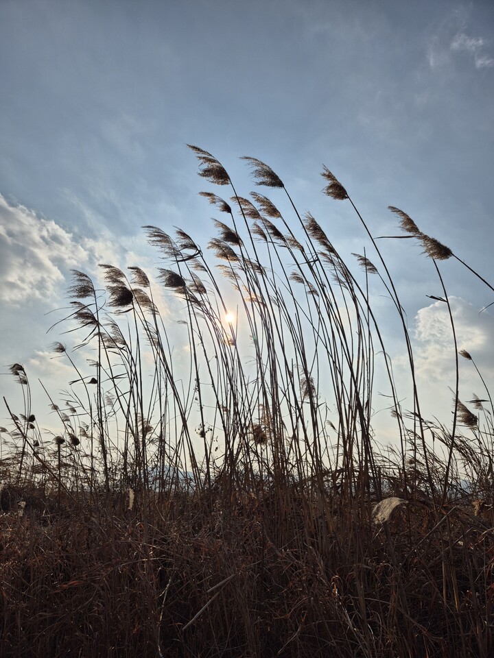 제휴상품평 포토리뷰 이미지