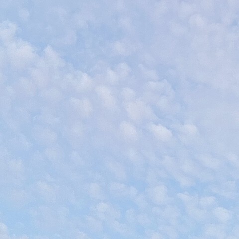 제휴상품평 포토리뷰 더보기