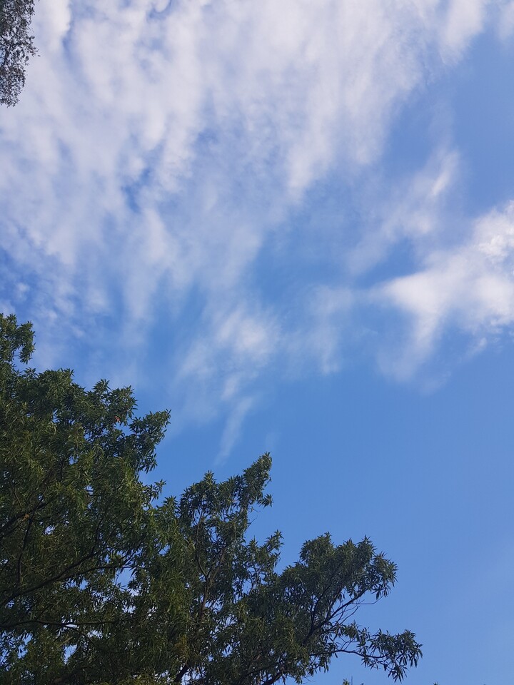 제휴상품평 포토리뷰 이미지