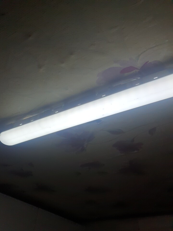 제휴상품평 포토리뷰 이미지