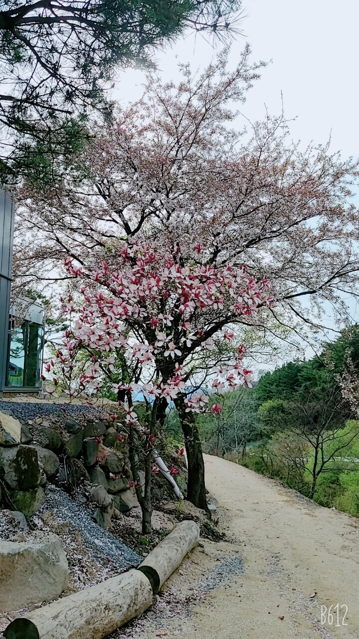 제휴상품평 포토리뷰 이미지