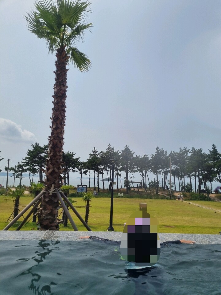 라풀:어드벤처 워터파크 입장권 (전남) (소인) : 다나와 가격비교 [다나와] 라풀:어드벤처 워터파크 입장권 (전남) (소인)