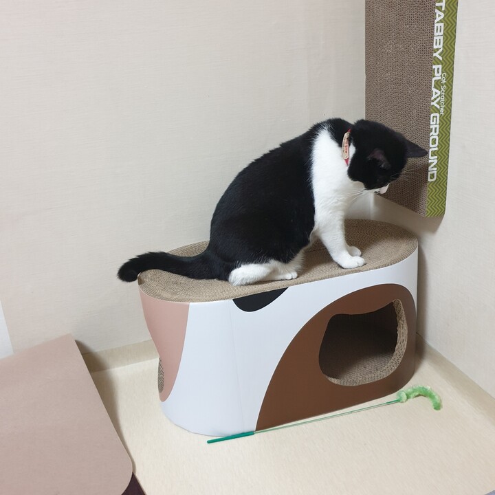 상품후기 썸네일 이미지