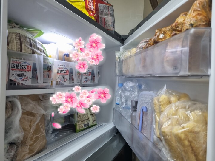 친정엔 양문형 냉장고, 전지현 김치냉...