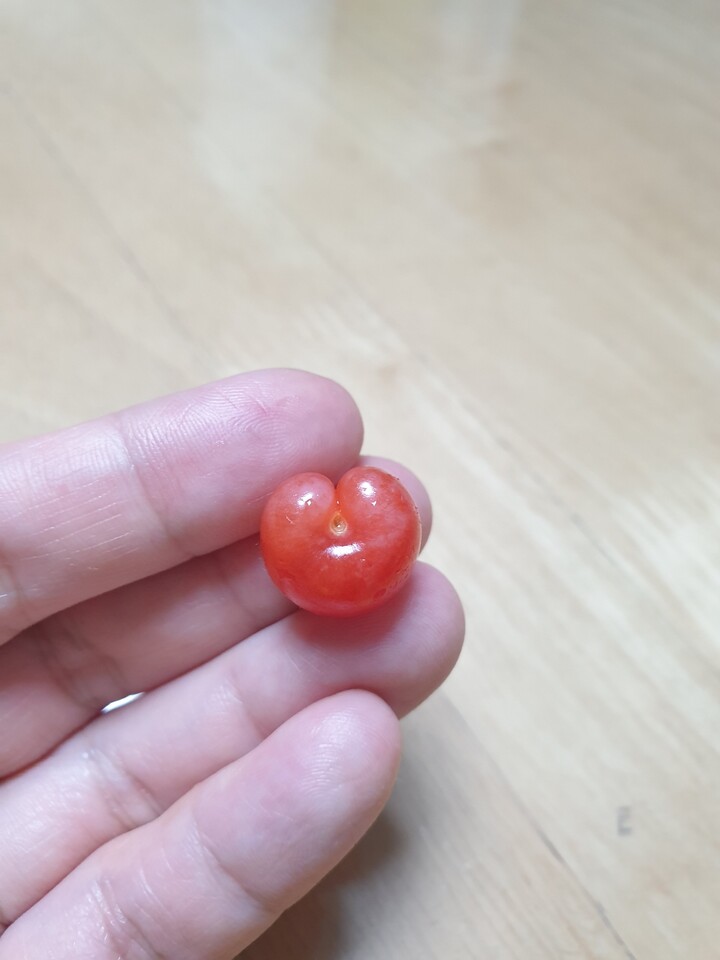 제휴상품평 포토리뷰 더보기