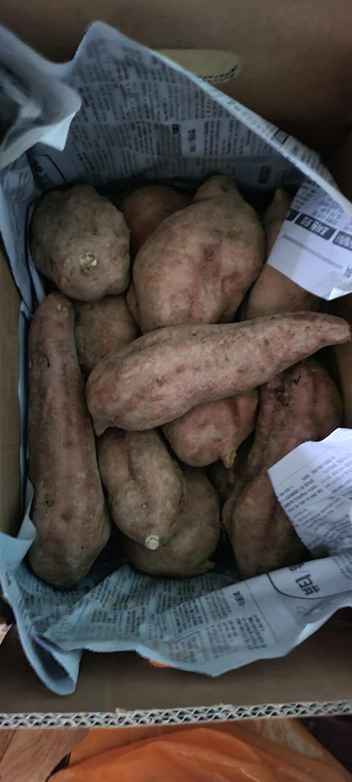 상품후기 썸네일 이미지