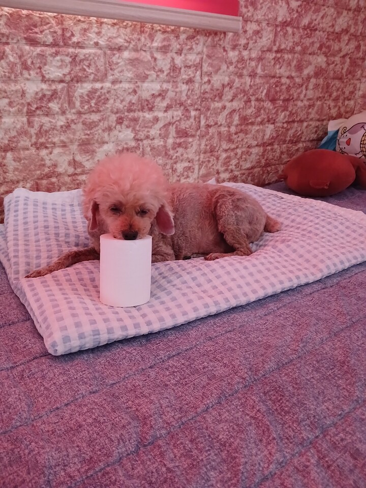 가격만족도 좋아요 잘쓸께요 많이파...