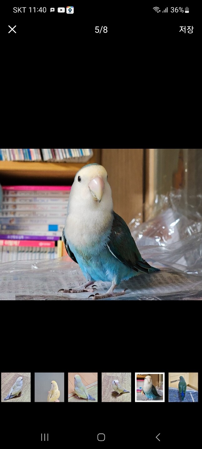 상품후기 썸네일 이미지