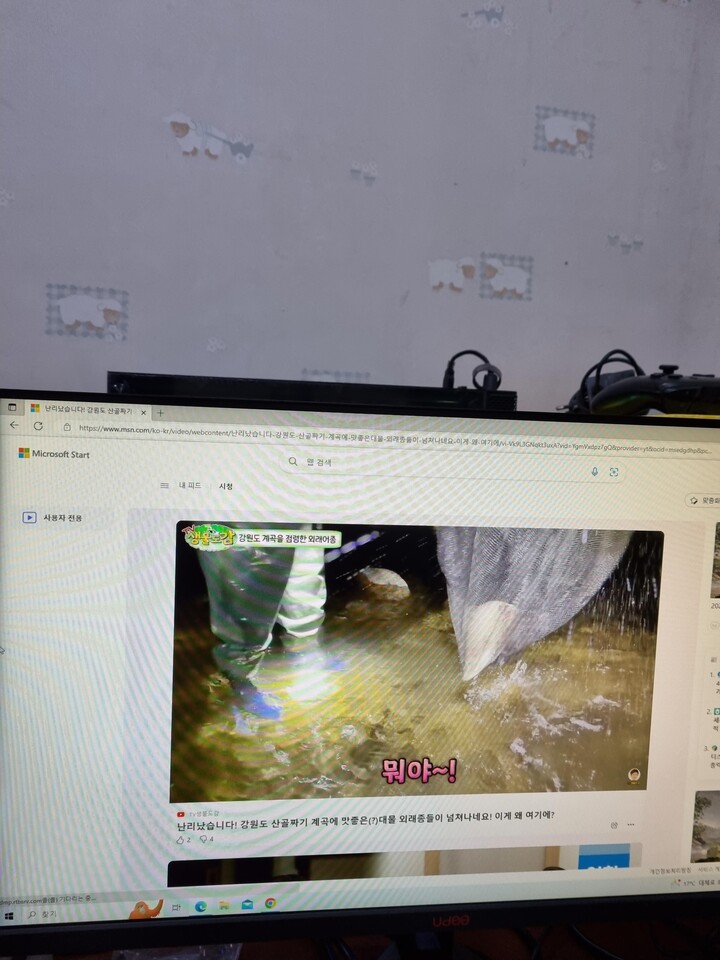 제휴상품평 포토리뷰 이미지