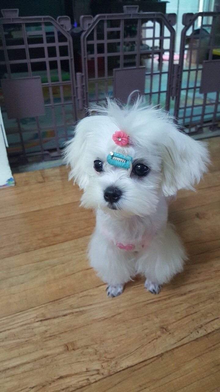 제휴상품평 포토리뷰 이미지