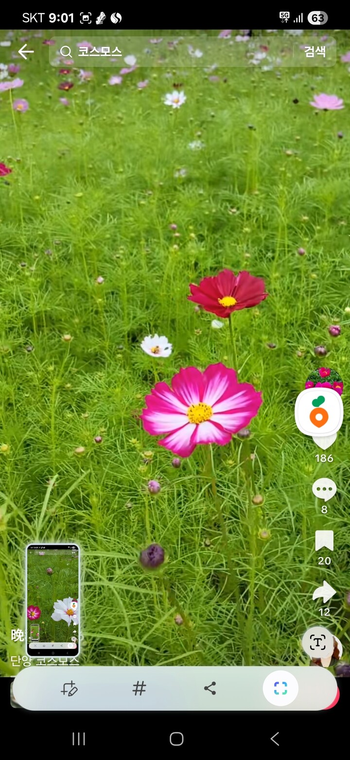 상품후기 썸네일 이미지