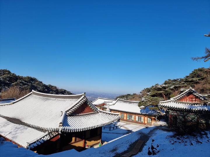 제휴상품평 포토리뷰 이미지