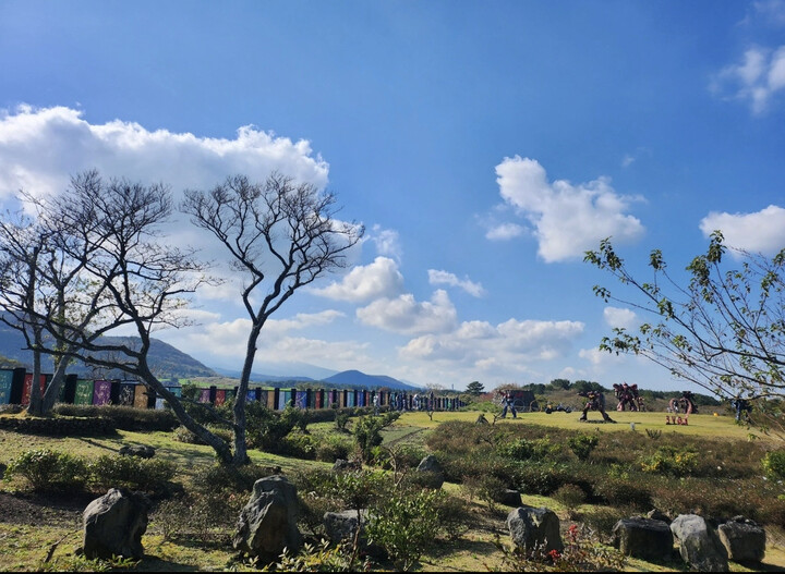 저렴한 가격에 구입했어요즐거운 시간 보냈어요