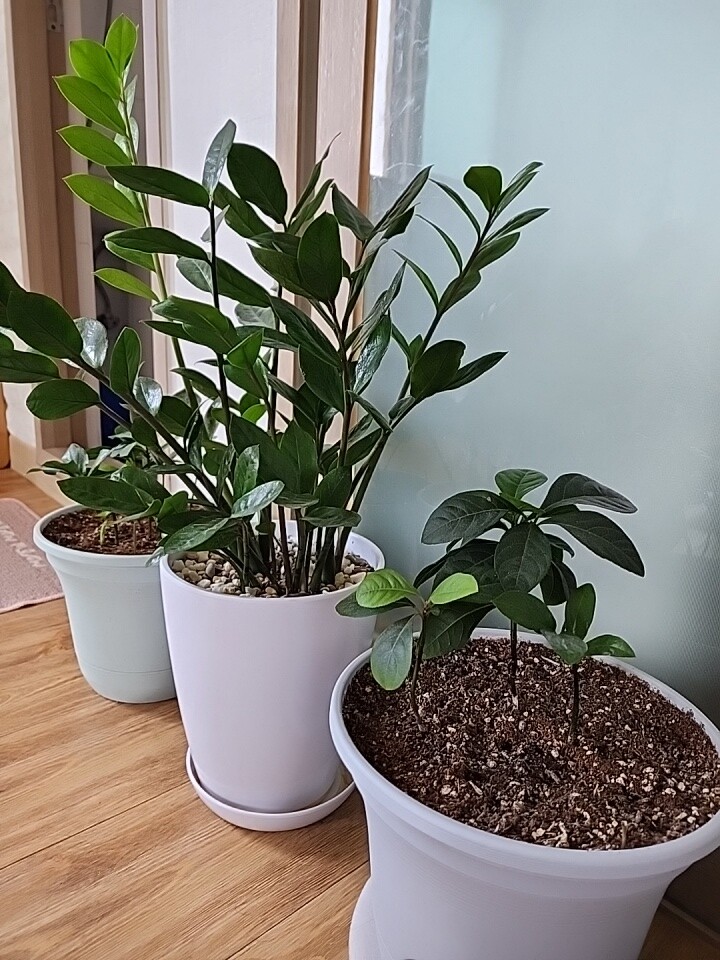 타이어는 마음에 드는데 ,장착사장님...