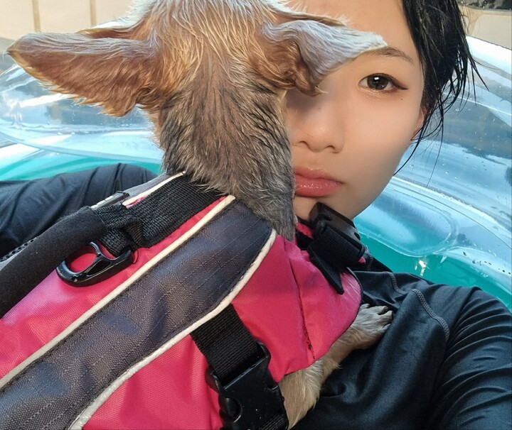 경주 JS 리조트 펜션 (경북) : 다나와 가격비교 [다나와] 경주 JS 리조트 펜션 (경북)