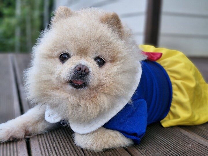 상품후기 썸네일 이미지