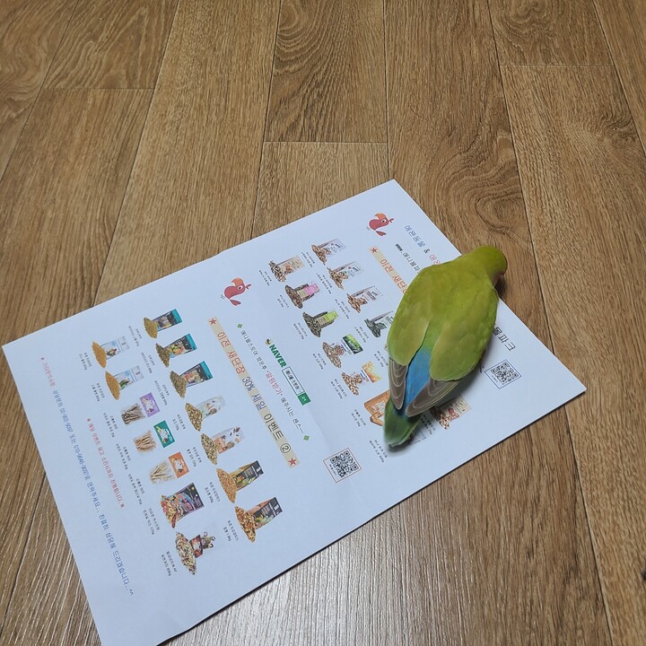 상품후기 썸네일 이미지