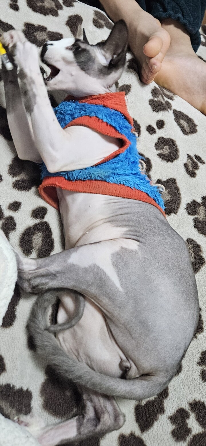 상품후기 썸네일 이미지